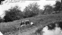 Hobart_Smith_and_sisters_Pond1912.jpg